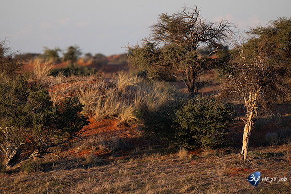 20230527-0529--Namibie-Bagatelle-lodge-JNB_3215