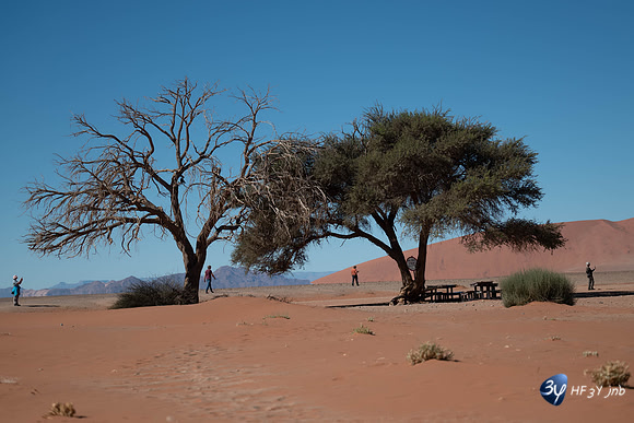 20230531-Namibie-Sesriem-sossusvlei-3Z5_1263