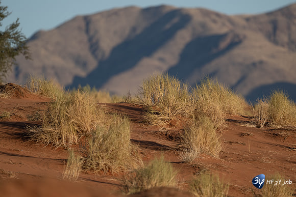20230530-Namibie-GreenFire Desert Lodge-JNB_3383