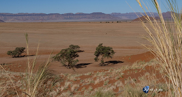 20230531-Namibie-Sesriem-Sossusvlei-JNB_3733-Modifier-2