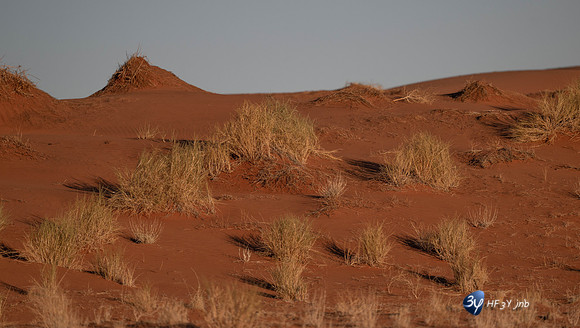 20230530-Namibie-GreenFire Desert Lodge-JNB_3387