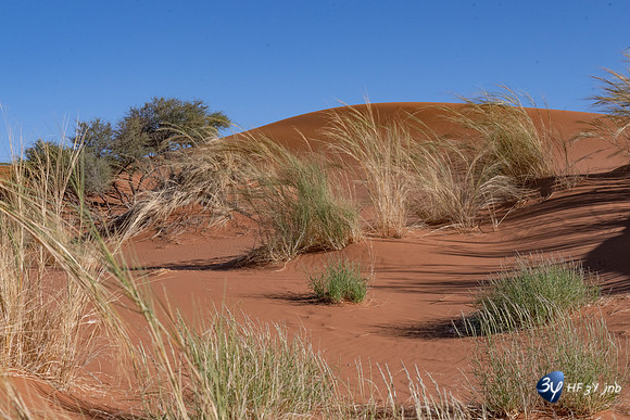20230531-Namibie-Sesriem-Sossusvlei-JNB_3727
