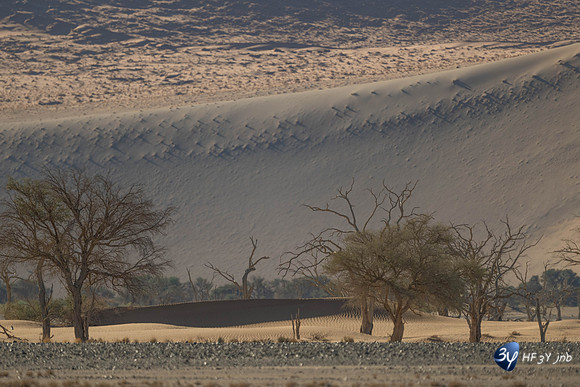 20230531-Namibie-Sesriem-Sossusvlei-20230531-Namibie-Sesriem-Sossusvlei-JNB_3680