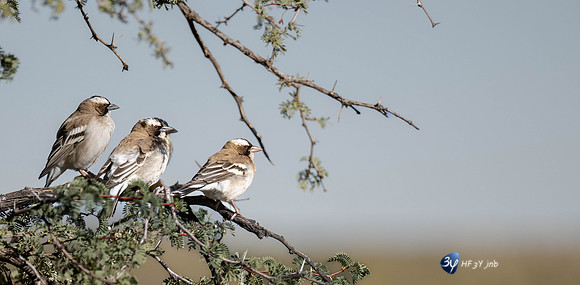 20230526-Namibie-Kuzikus-JNB_1559