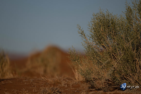20230530-Namibie-GreenFire Desert Lodge-JNB_3386