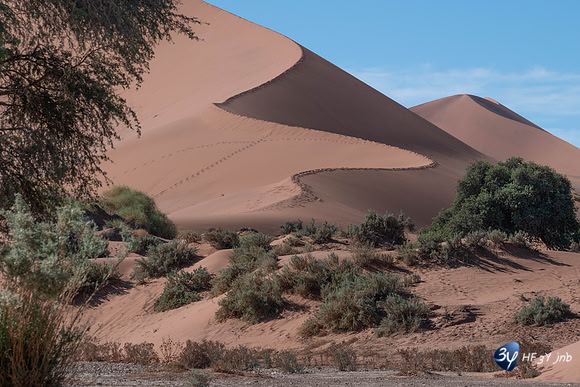 20230531-Namibie-Sesriem-Sossusvlei-20230531-Namibie-Sesriem-Sossusvlei-3Z5_1361