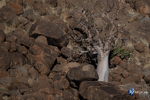 20230530-Namibie-GreenFire Desert Lodge-JNB_3361