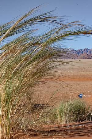 20230531-Namibie-Sesriem-Sossusvlei-JNB_3719
