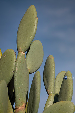 20230525-Namibie-Voigtland-guesthouse-3Z5_0169