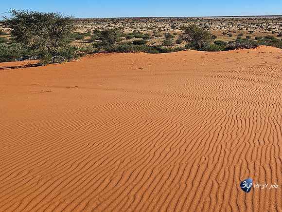 20230626-Namibie-S23-ultra-JNB-20230529_161629