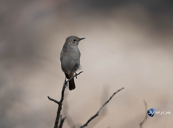 20230526-Namibie-Kuzikus-JNB_1631-Modifier
