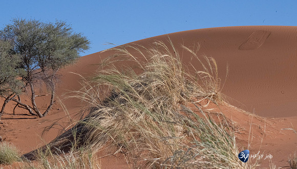 20230531-Namibie-Sesriem-Sossusvlei-JNB_3724