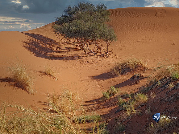 20230626-Namibie-Note20-MJB-20230601_155712-Modifier