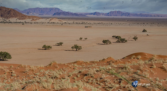 20230531-Namibie-Sesriem-Sossusvlei-JNB_3738-Modifier