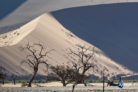 20230531-Namibie-Sesriem-Sossusvlei-20230531-Namibie-Sesriem-Sossusvlei-JNB_3682