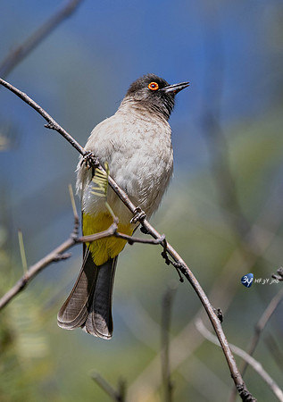 20230526-Namibie-Kuzikus-JNB_1618