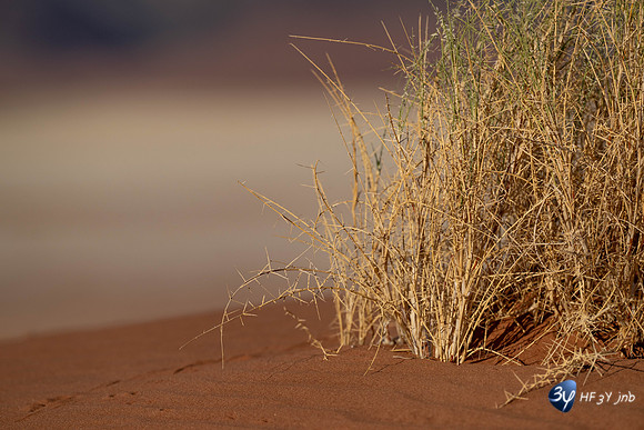 20230530-Namibie-GreenFire Desert Lodge-JNB_3378