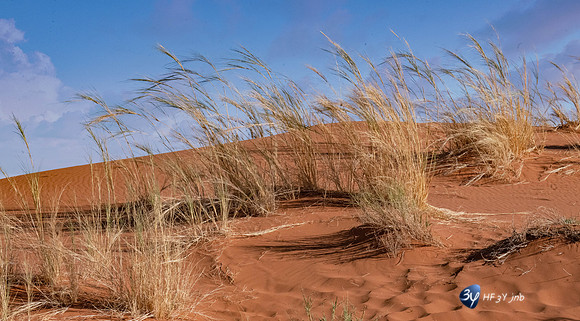 20230531-Namibie-Sesriem-Sossusvlei-JNB_3720-mod