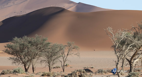 20230531-Namibie-Sesriem-Sossusvlei-20230531-Namibie-Sesriem-Sossusvlei-JNB_3671
