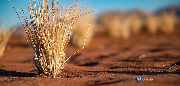 20230530-Namibie-GreenFire Desert Lodge-3Z5_1135