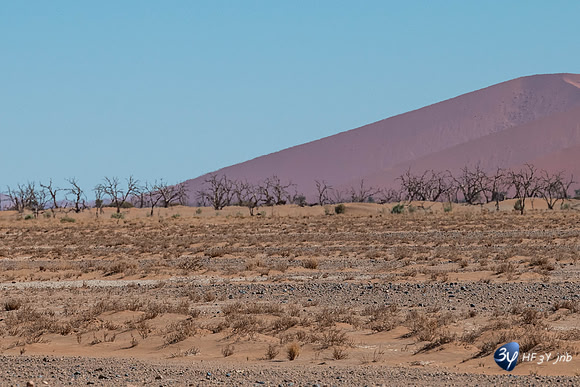 20230531-Namibie-Sesriem-Sossusvlei-20230531-Namibie-Sesriem-Sossusvlei-3Z5_1236
