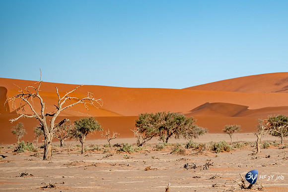 20230531-Namibie-Sesriem-sossusvlei-3Z5_1402
