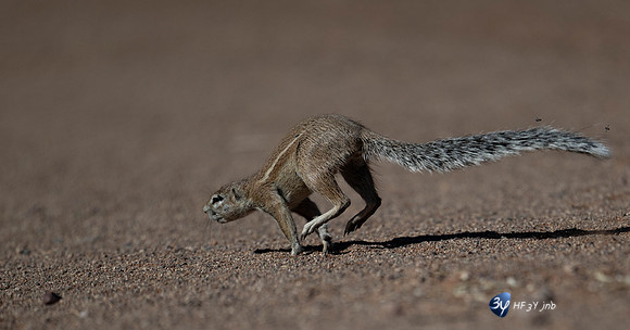 20230530-Namibie-GreenFire Desert Lodge-JNB_3335