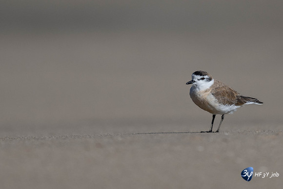 20230603-Namibie- Swakopmund-Walvis Bay-JNB_4015