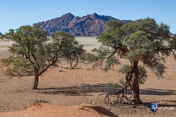 20230531-Namibie-Sesriem-Sossusvlei-JNB_3716