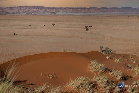 20230531-Namibie-Sesriem-Sossusvlei-JNB_3742-Modifier