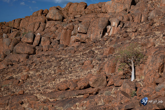 20230530-Namibie-GreenFire Desert Lodge-3Z5_1095-mod