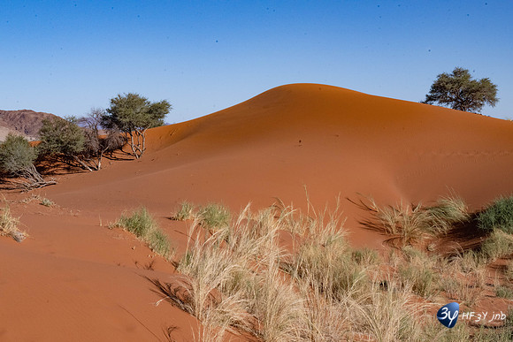 20230531-Namibie-Sesriem-Sossusvlei-JNB_3729