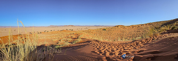 20230626-Namibie-S23-ultra-JNB-20230601_161556
