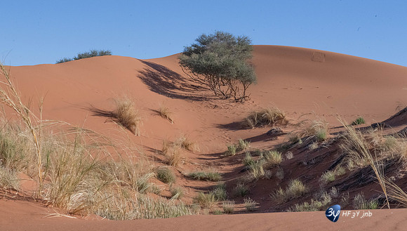 20230531-Namibie-Sesriem-Sossusvlei-JNB_3721