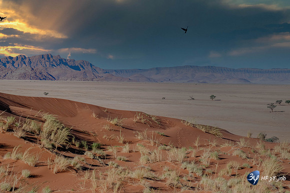 20230531-Namibie-Sesriem-Sossusvlei-JNB_3734-Modifier-2