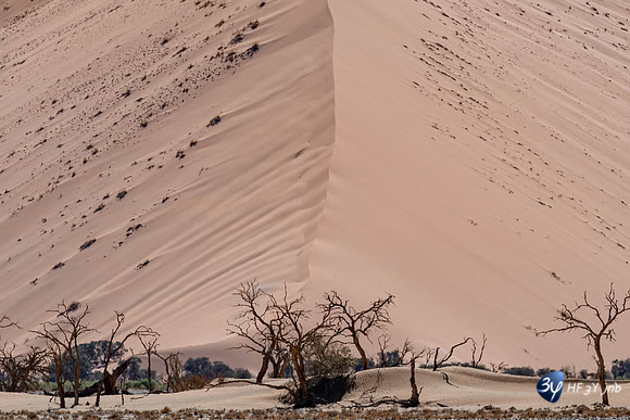 20230531-Namibie-Sesriem-Sossusvlei-20230531-Namibie-Sesriem-Sossusvlei-3Z5_1237