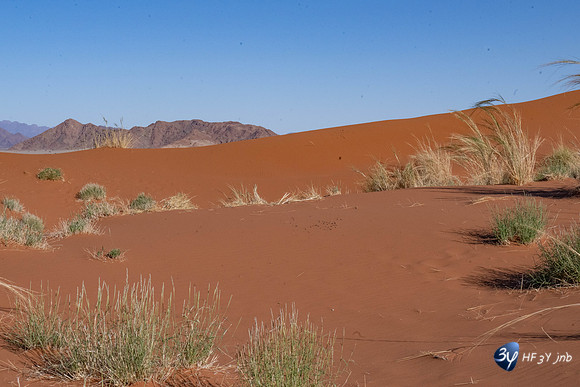 20230531-Namibie-Sesriem-Sossusvlei-JNB_3728