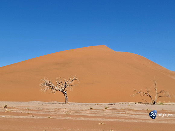 20230626-Namibie-Note20-MJB-20230531_141112