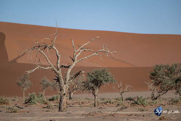 20230531-Namibie-Sesriem-Sossusvlei-20230531-Namibie-Sesriem-Sossusvlei-JNB_3667