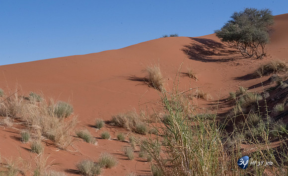 20230531-Namibie-Sesriem-Sossusvlei-JNB_3722