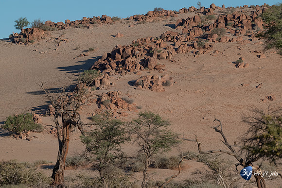 20230531-Namibie-Sesriem-Sossusvlei-3Z5_1505