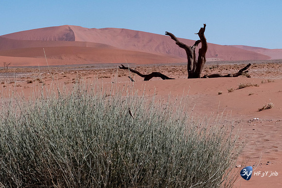 20230531-Namibie-Sesriem-sossusvlei-3Z5_1254
