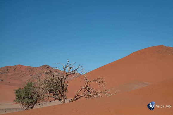 20230531-Namibie-Sesriem-sossusvlei-3Z5_1250