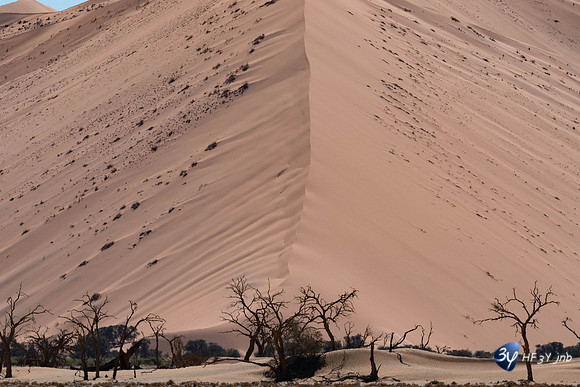 20230531-Namibie-Sesriem-sossusvlei-3Z5_1240