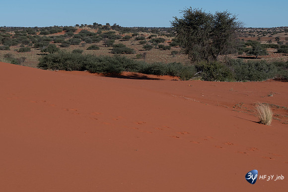 20230527-0529--Namibie-Bagatelle-lodge-3Z5_0872