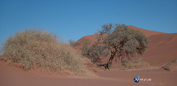 20230531-Namibie-Sesriem-sossusvlei-3Z5_1389