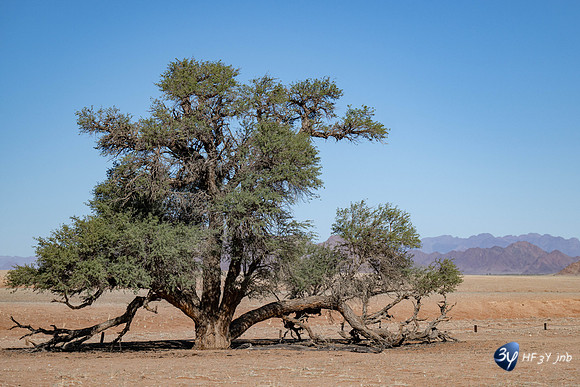 20230531-Namibie-Sesriem-Sossusvlei-JNB_3709