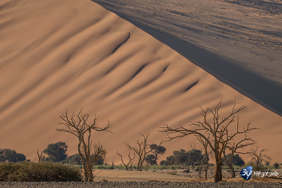 20230531-Namibie-Sesriem-Sossusvlei-20230531-Namibie-Sesriem-Sossusvlei-JNB_3681