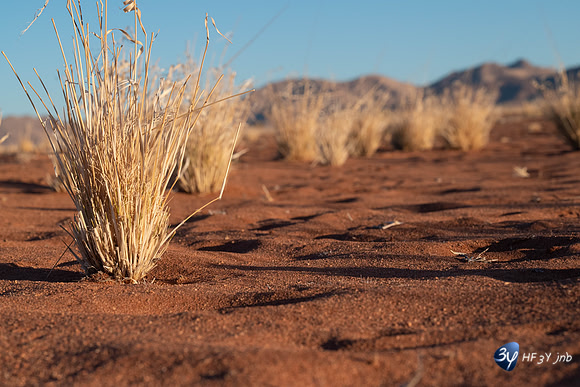 20230530-Namibie-GreenFire Desert Lodge-3Z5_1141