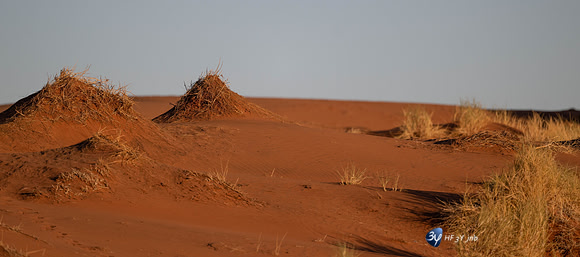 20230530-Namibie-GreenFire Desert Lodge-JNB_3384